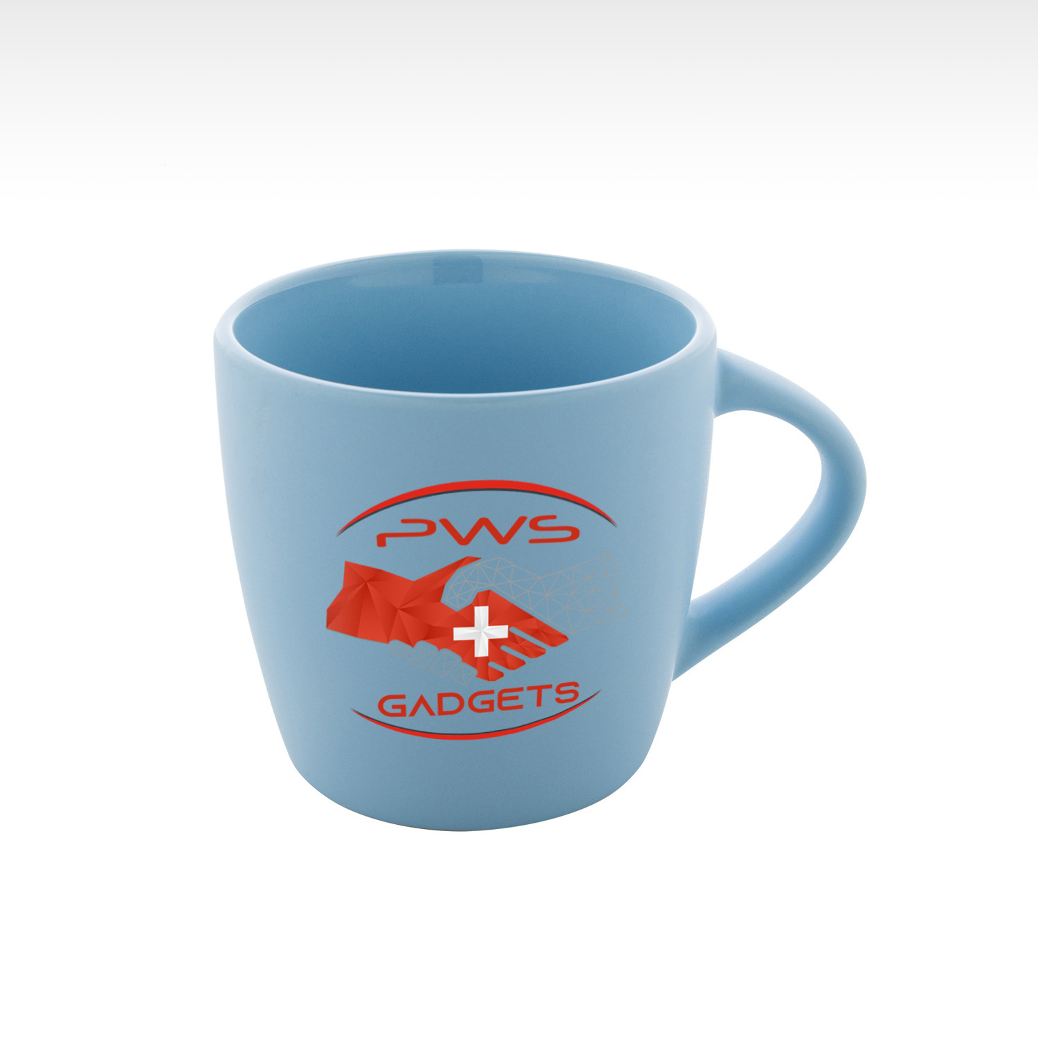 PWS213NT LOGO